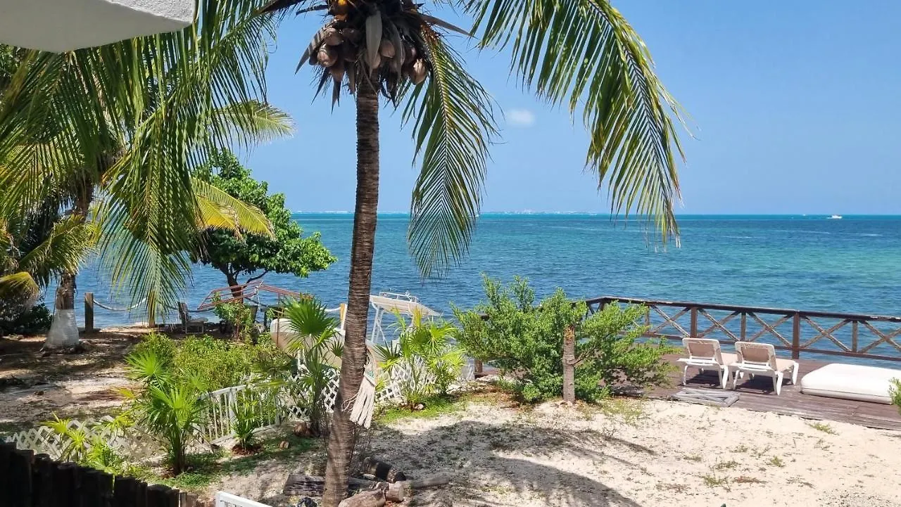 On The Beach - Seaside Sunrise Haven 3 Bedrooms Sea View Cancun